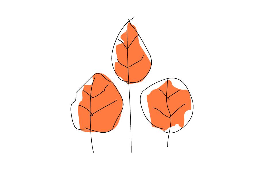 Gartenplanung